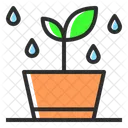 Maceta  Icono