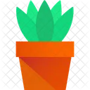 Maceta Planta Maceta Icono