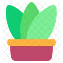 Maceta Maceta Plantas De Interior Icono
