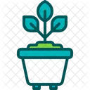 Maceta Planta Maceta Icon