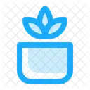 Maceta  Icon