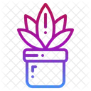 Maceta Icono