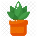 Maceta Icono