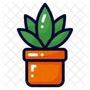 Maceta Icono