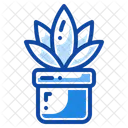 Maceta Icono