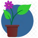 Verde Hojas Violeta Icono
