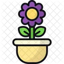 Maceta Decoracion Maceta Icono
