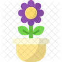 Maceta Decoracion Maceta Icono