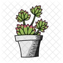 Maceta de cactus  Icono