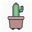 Cactus Planta Maceta Icono