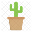 Maceta de cactus  Icono