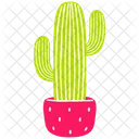 Maceta de cactus  Icono