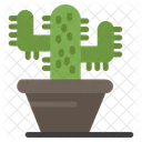 Maceta de cactus  Icono