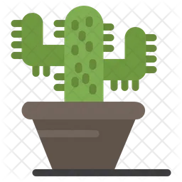 Maceta de cactus  Icono