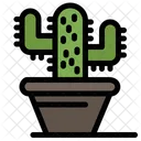 Maceta de cactus  Icono