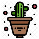 Maceta de cactus  Icono