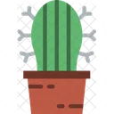 Maceta de cactus  Icono