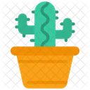 Maceta de cactus  Icono