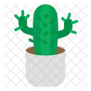 Maceta de cactus  Icono