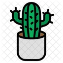 Maceta de cactus  Icono