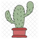 Maceta de cactus  Icono