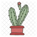 Maceta de cactus  Icono