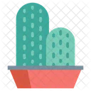 Maceta De Cactus Planta De Cactus Maceta Icono