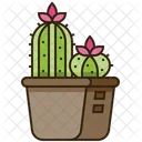 Maceta de cactus  Icon