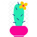 Maceta de cactus  Icono