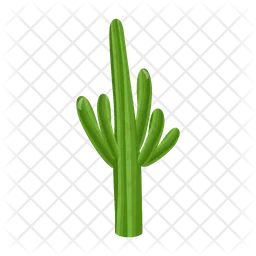 Maceta de cactus  Icono