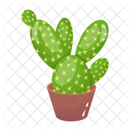 Maceta de cactus  Icono