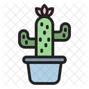 Maceta de cactus  Icono