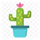 Maceta de cactus  Icono