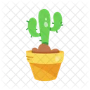 Cactus Cactus Pot Planta Espinosa Icono