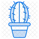 Maceta de cactus  Icono