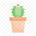 Maceta de cactus  Icono