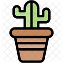 Maceta de cactus  Icono