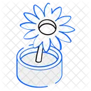 Maceta de girasol  Icon