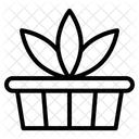 Maceta  Icono