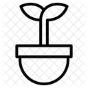 Maceta  Icono
