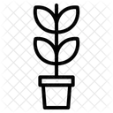 Maceta  Icono
