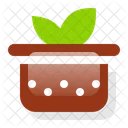 Maceta  Icono