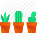 Macetas de cactus  Icono