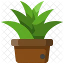Maceta  Icono