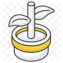 Maceta  Icon