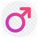 Sexo Masculino Hombre Icono