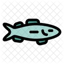 Mackerel Fish Pacific Icon