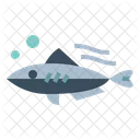 Mackerel  Icon