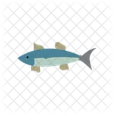 Mackerel Fish Ocean Icon