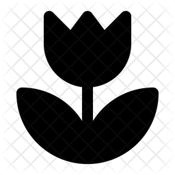Macro Icon